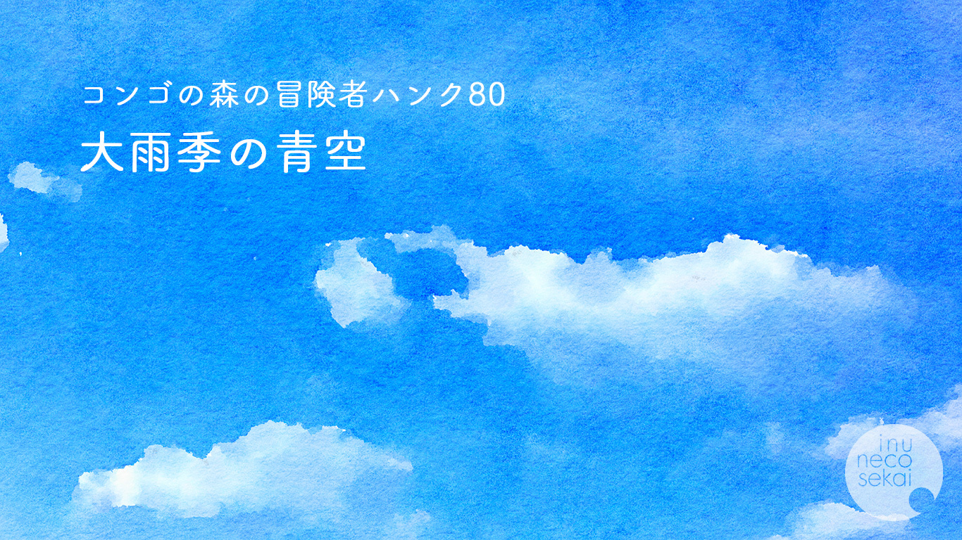 コンゴの森の冒険者ハンク80 大雨季の青空 イヌネコセカイ